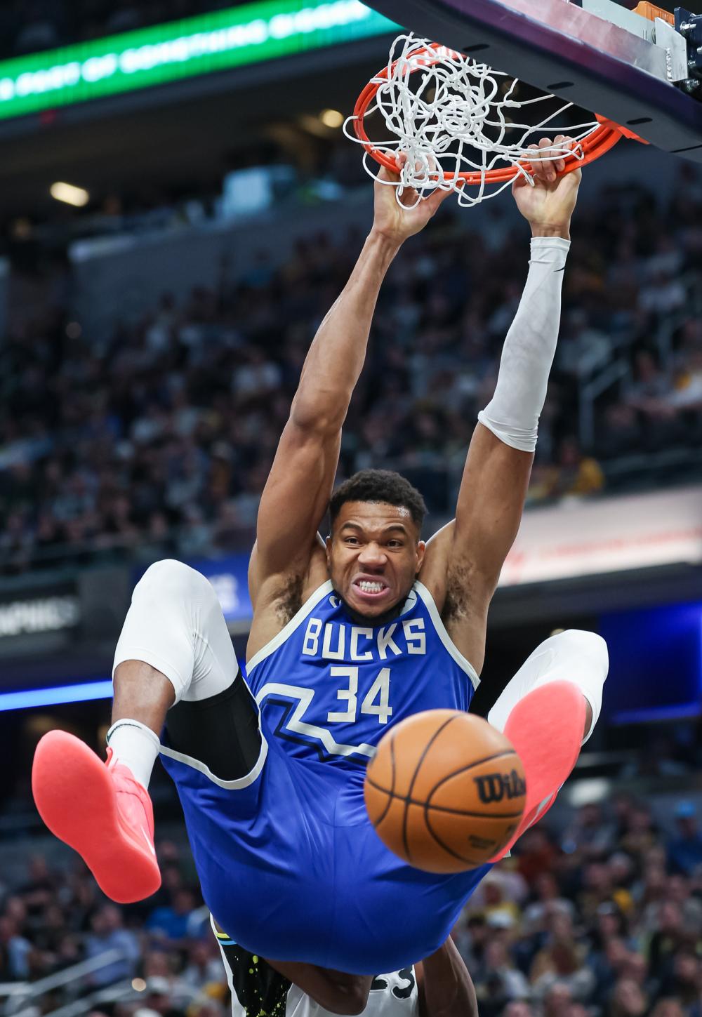 7的数据 7的数据